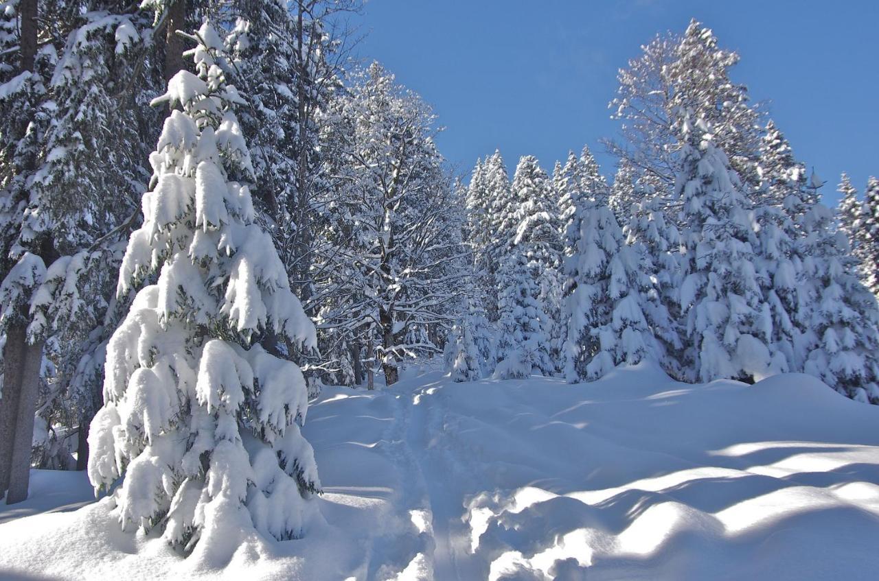 Apartment "Johann" Aktivurlaub Im Bregenzerwald Mellau Exteriör bild