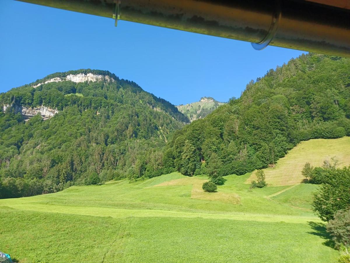 Apartment "Johann" Aktivurlaub Im Bregenzerwald Mellau Exteriör bild